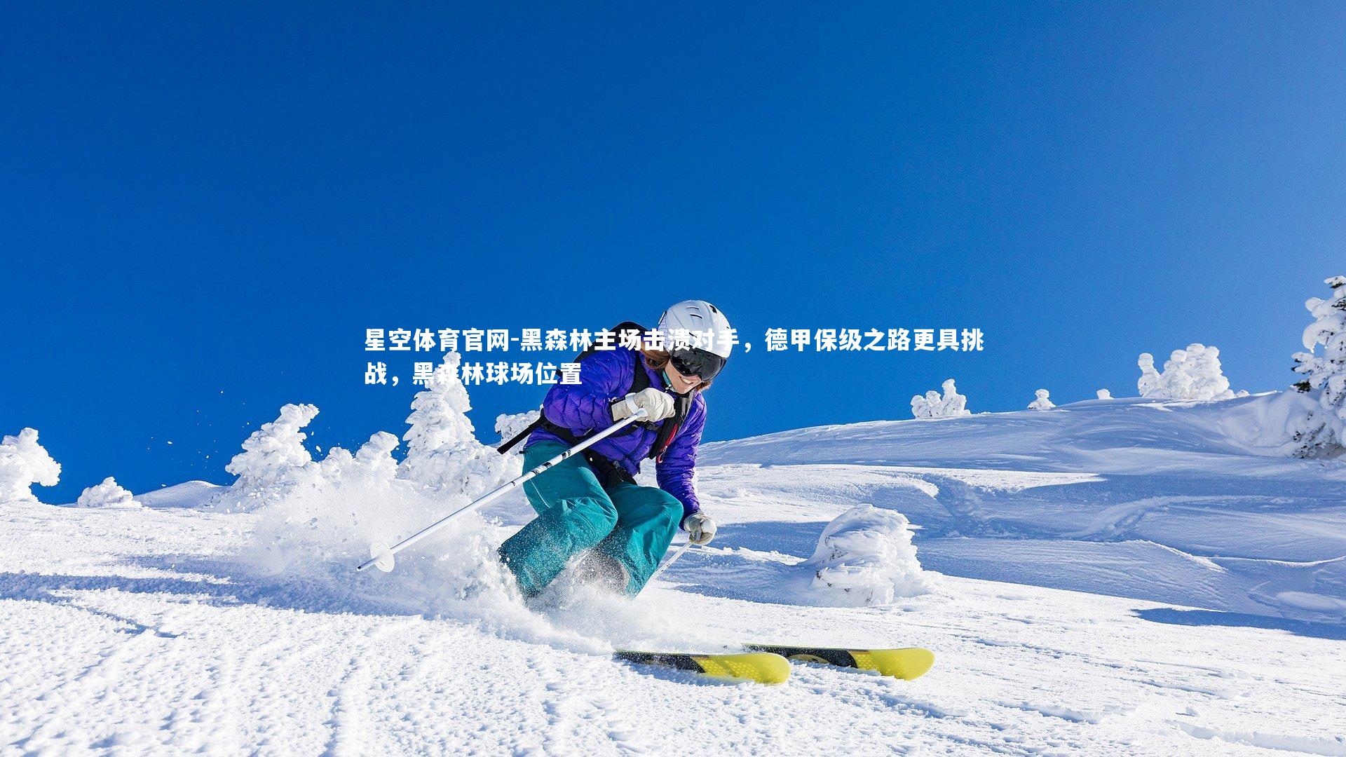 黑森林主场击溃对手，德甲保级之路更具挑战，黑森林球场位置